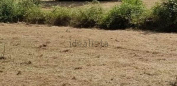 terreno edificabile in vendita ad Ausonia