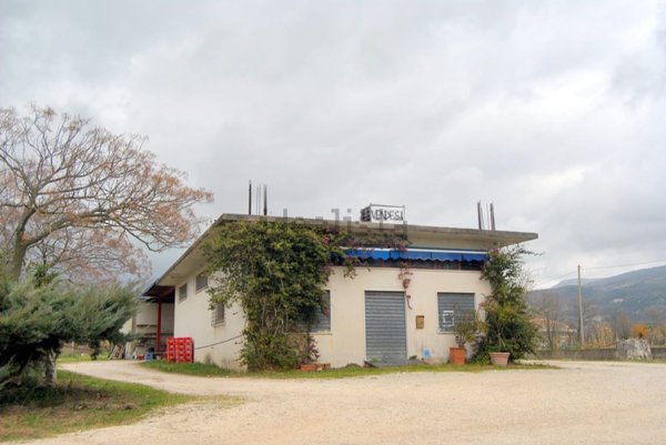 locale commerciale in vendita ad Ausonia