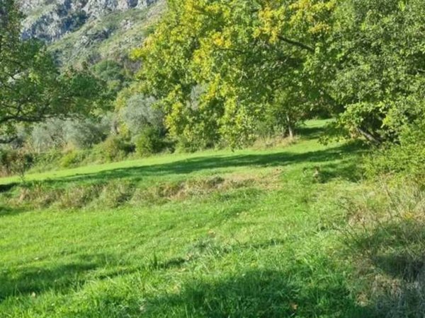 casa indipendente in vendita ad Ausonia