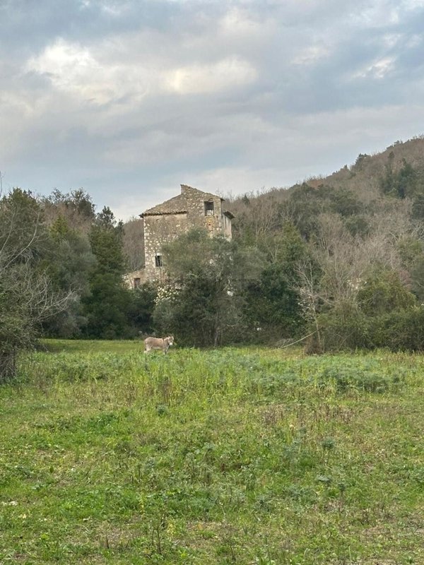 appartamento in vendita ad Ausonia