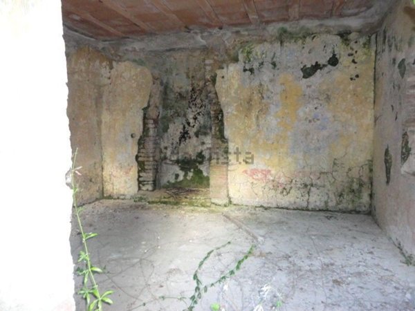 esavano in vendita ad Ausonia