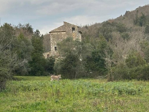 casa indipendente in vendita ad Ausonia