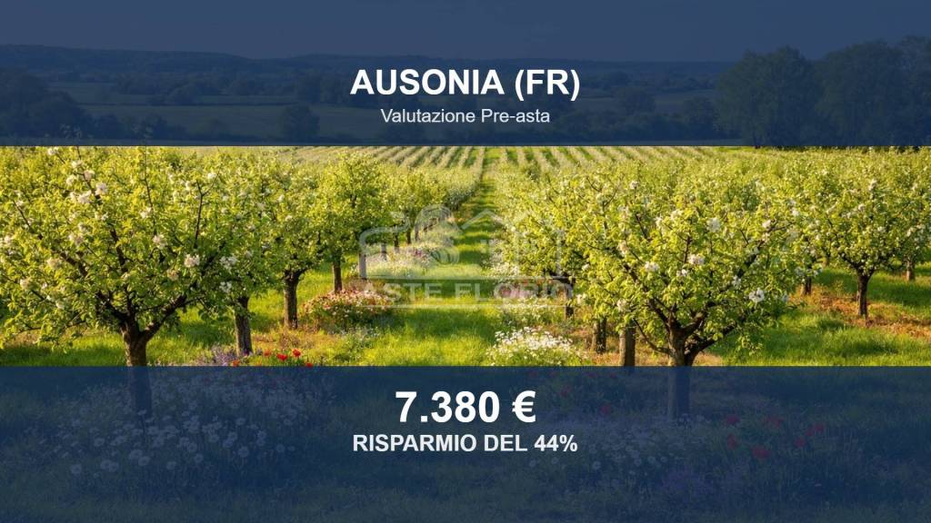 terreno agricolo in vendita ad Ausonia