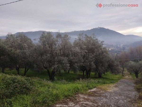 casa indipendente in vendita a Boville Ernica