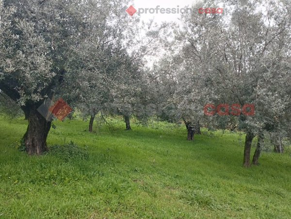 terreno edificabile in vendita a Boville Ernica