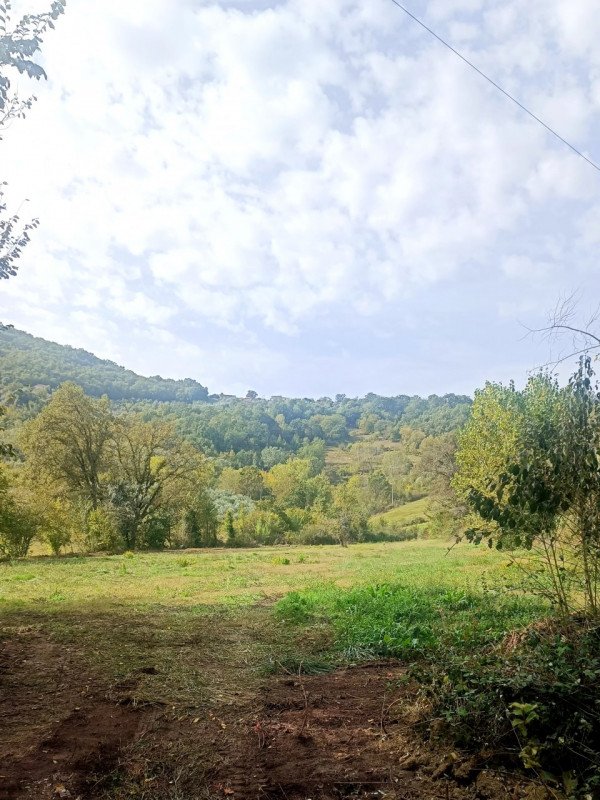 terreno agricolo in vendita a Broccostella in zona Schito