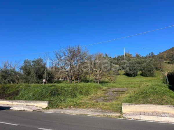 terreno agricolo in vendita a Broccostella