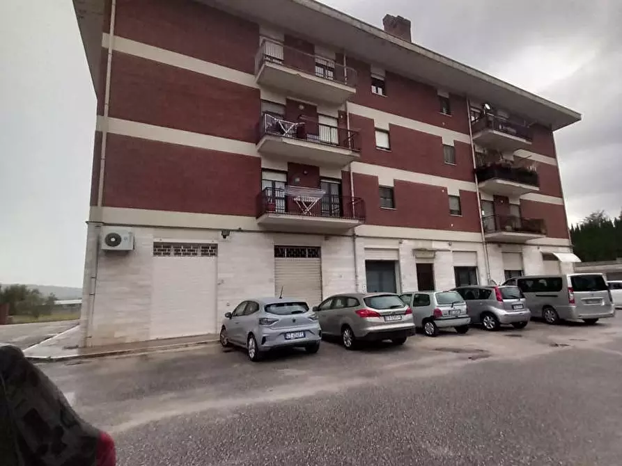 negozio in vendita a Broccostella