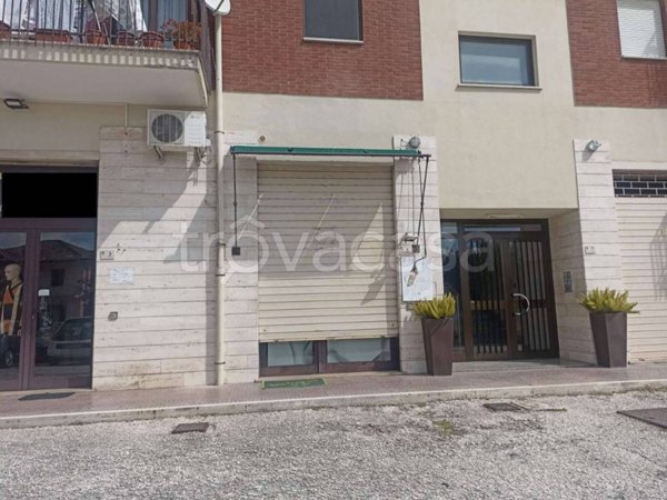 negozio in vendita a Broccostella