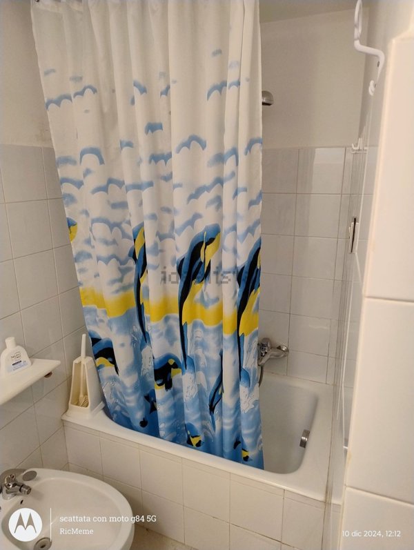 appartamento in vendita a Campoli Appennino