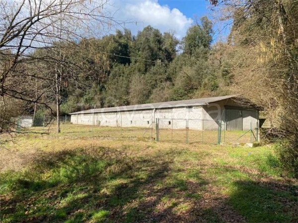 appartamento in vendita a Casalvieri in zona Catallo