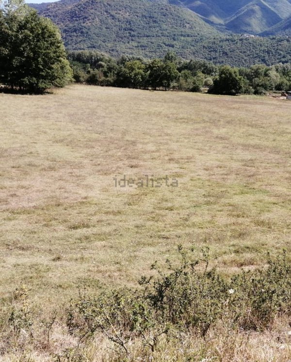 terreno agricolo in vendita a Casalvieri