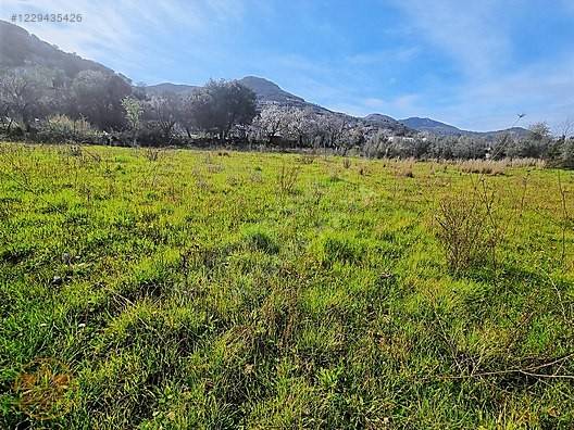 terreno agricolo in vendita a Casalvieri