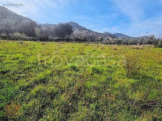 terreno agricolo in vendita a Casalvieri