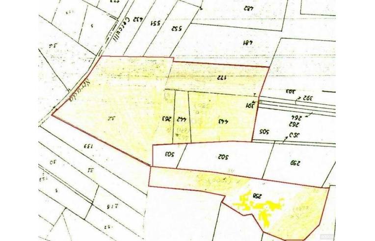 terreno agricolo in vendita a Casalvieri