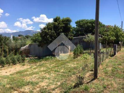 terreno agricolo in vendita a Cassino