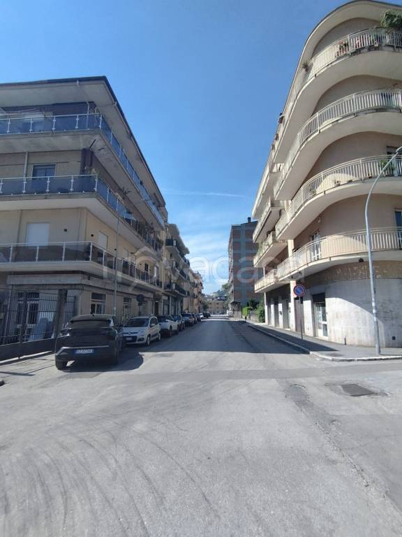 quadrivano in vendita a Cassino