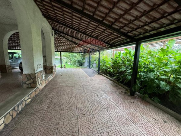 esavano in vendita a Cassino