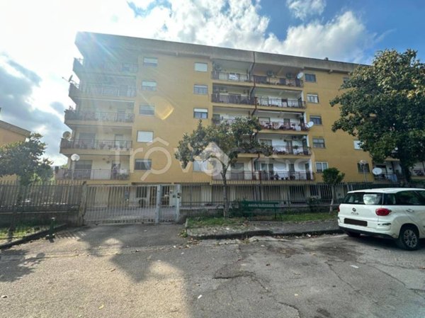 appartamento in vendita a Cassino
