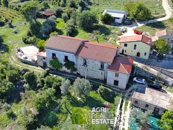 terreno agricolo in vendita a Cassino in zona Caira