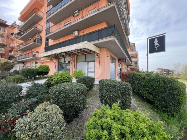 negozio in vendita a Cassino