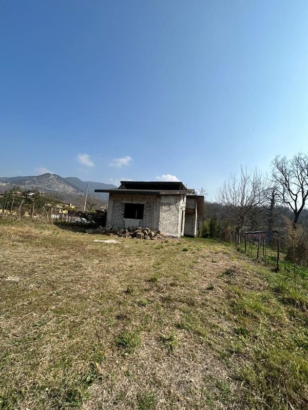 pentavano in vendita a Cassino