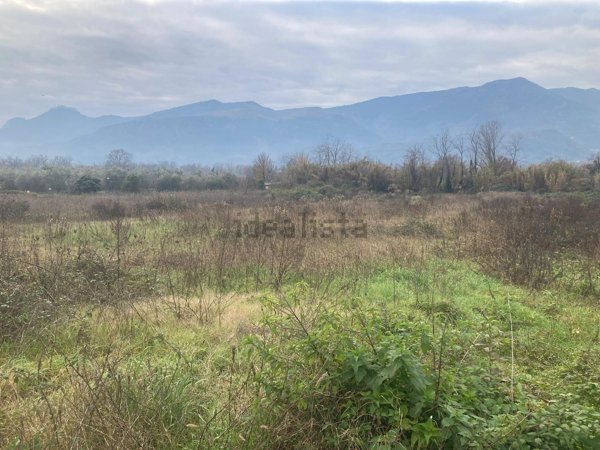 terreno agricolo in vendita a Cassino