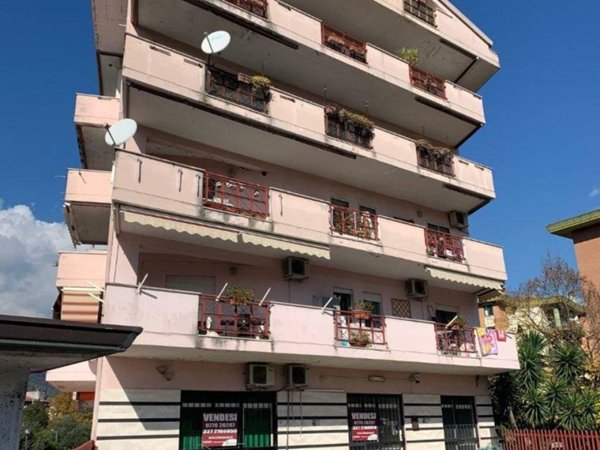 negozio in vendita a Cassino