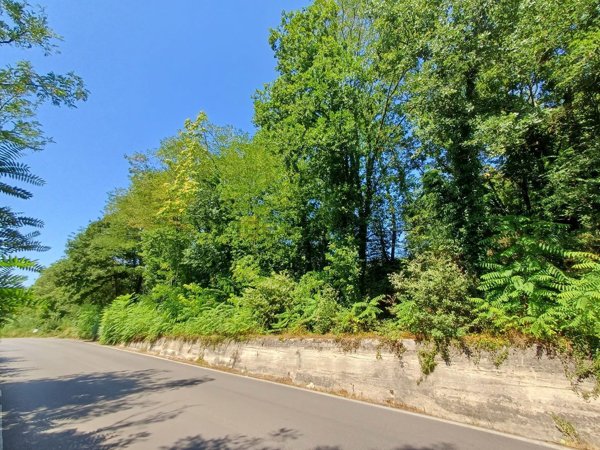 terreno agricolo in vendita a Cassino