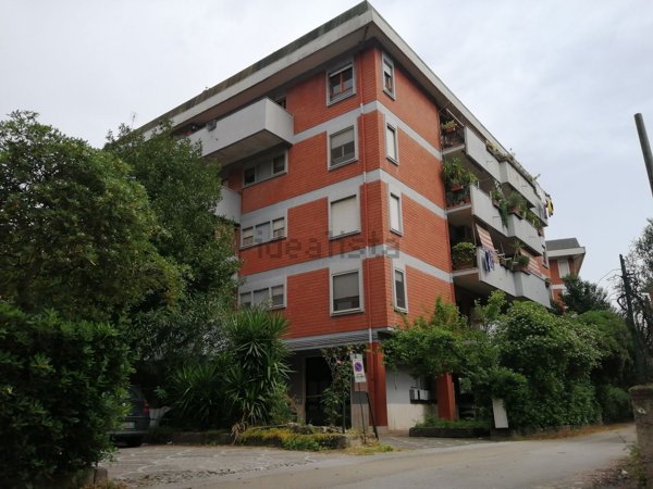 appartamento in vendita a Cassino