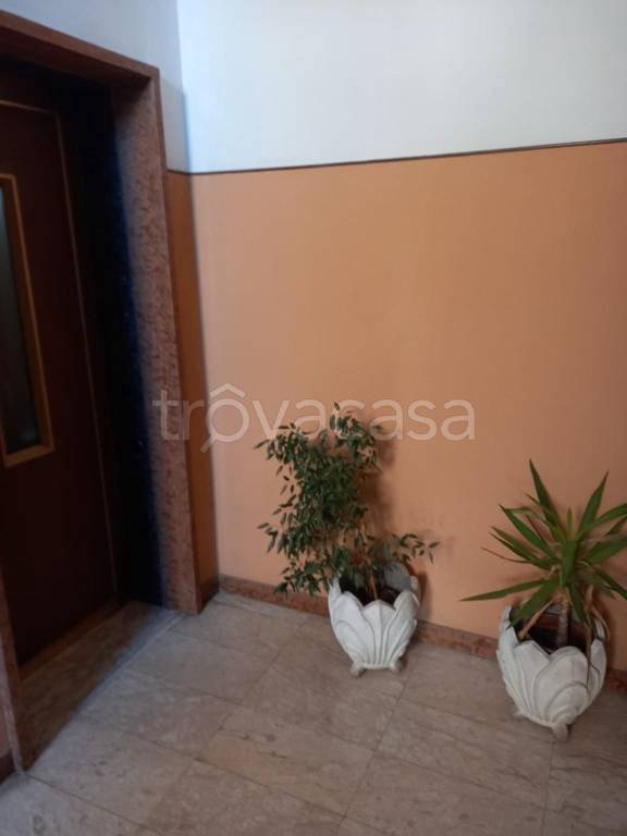 appartamento in vendita a Cassino