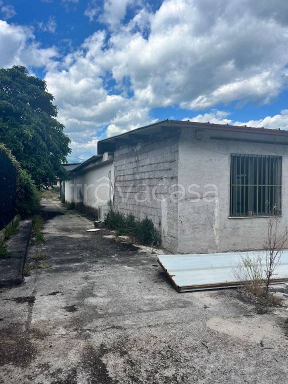 negozio in vendita a Cassino in zona Caira