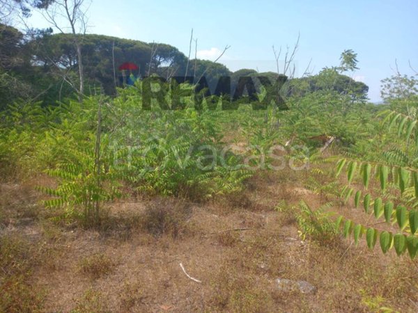 terreno agricolo in vendita a Cassino
