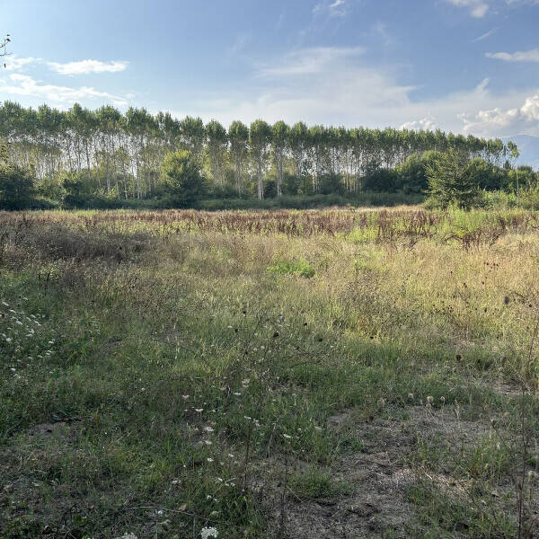 terreno edificabile in vendita a Cassino
