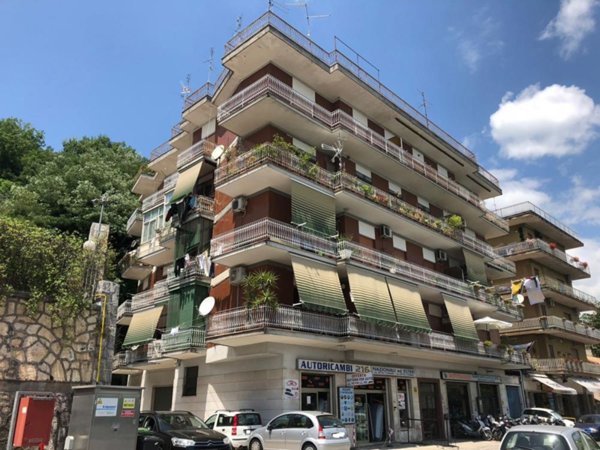 box auto in vendita a Cassino