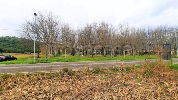 terreno agricolo in vendita a Castelliri