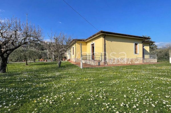 casa indipendente in vendita a Castelliri