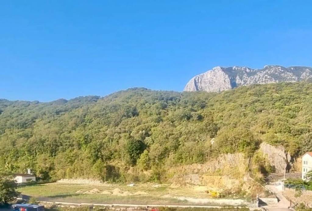 terreno agricolo in vendita a Castelnuovo Parano