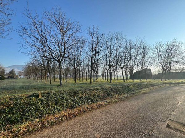 terreno agricolo in vendita a Castrocielo