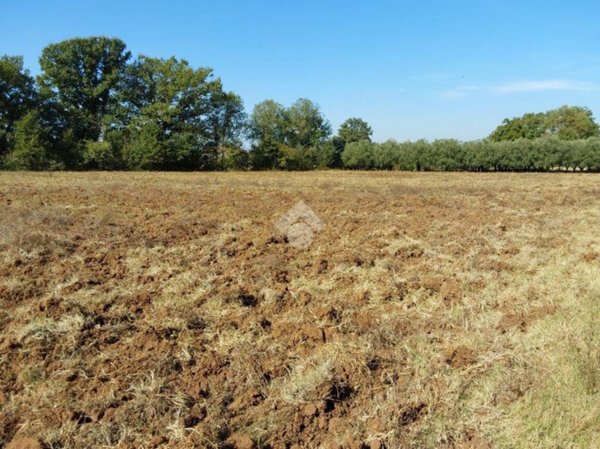 terreno agricolo in vendita a Castrocielo