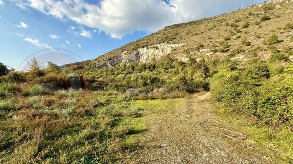 terreno agricolo in vendita a Castrocielo