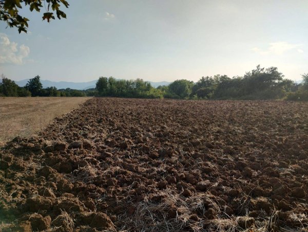 quadrivano in vendita a Castrocielo