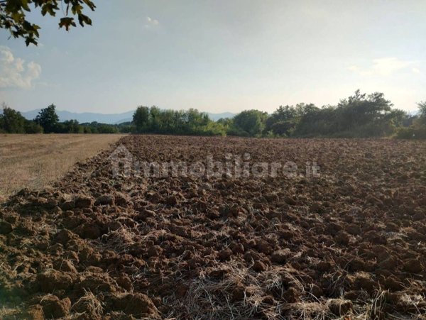 quadrivano in vendita a Castrocielo