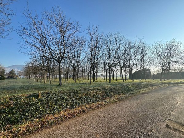 terreno agricolo in vendita a Castrocielo
