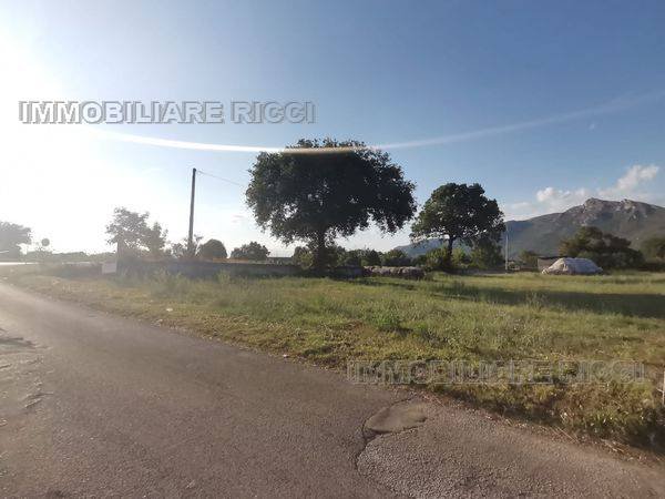 terreno in vendita a Castrocielo