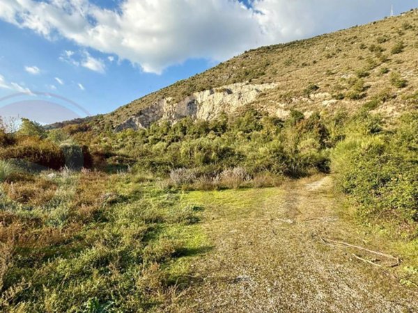 terreno agricolo in vendita a Castrocielo