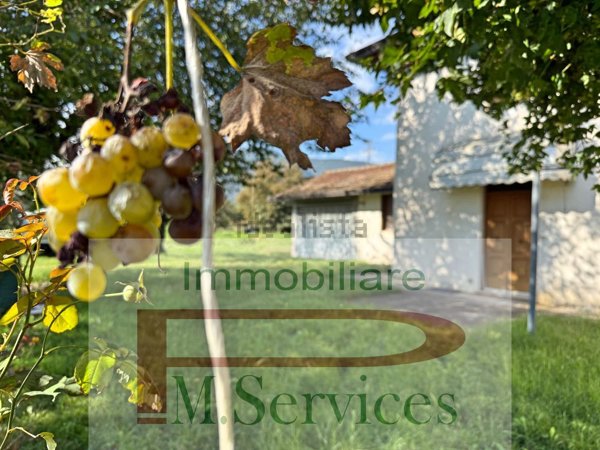 casa indipendente in vendita a Castro dei Volsci