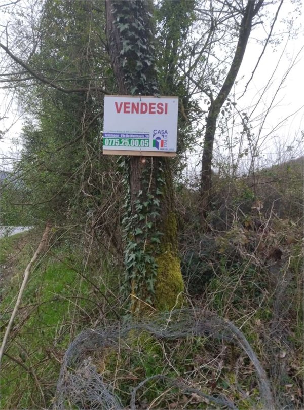 terreno agricolo in vendita a Castro dei Volsci