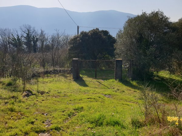 casa indipendente in vendita a Ceccano