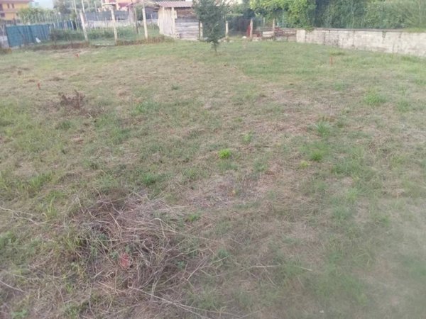 terreno agricolo in vendita a Ceccano
